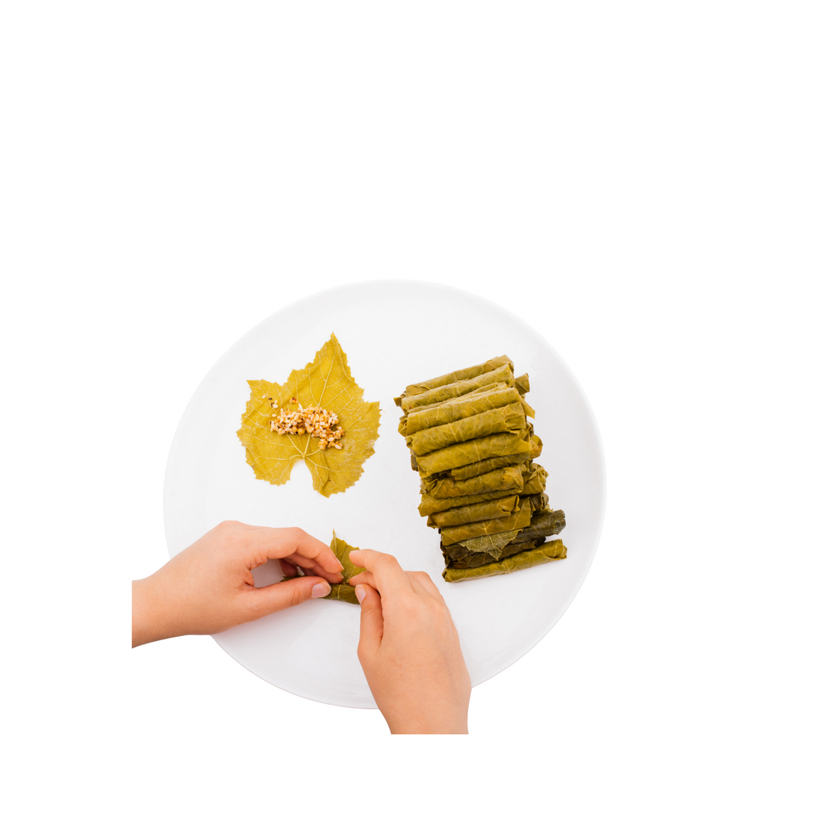 Hekayat Sity Weinblätter 1050gr