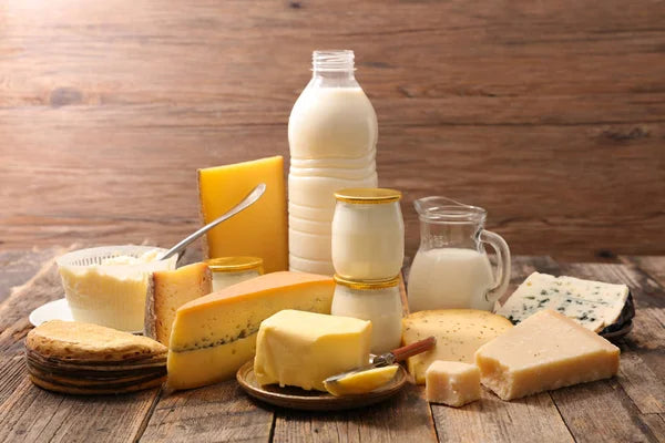 Käse, Sahne und Fettleibigkeit ( Butterschmalz)