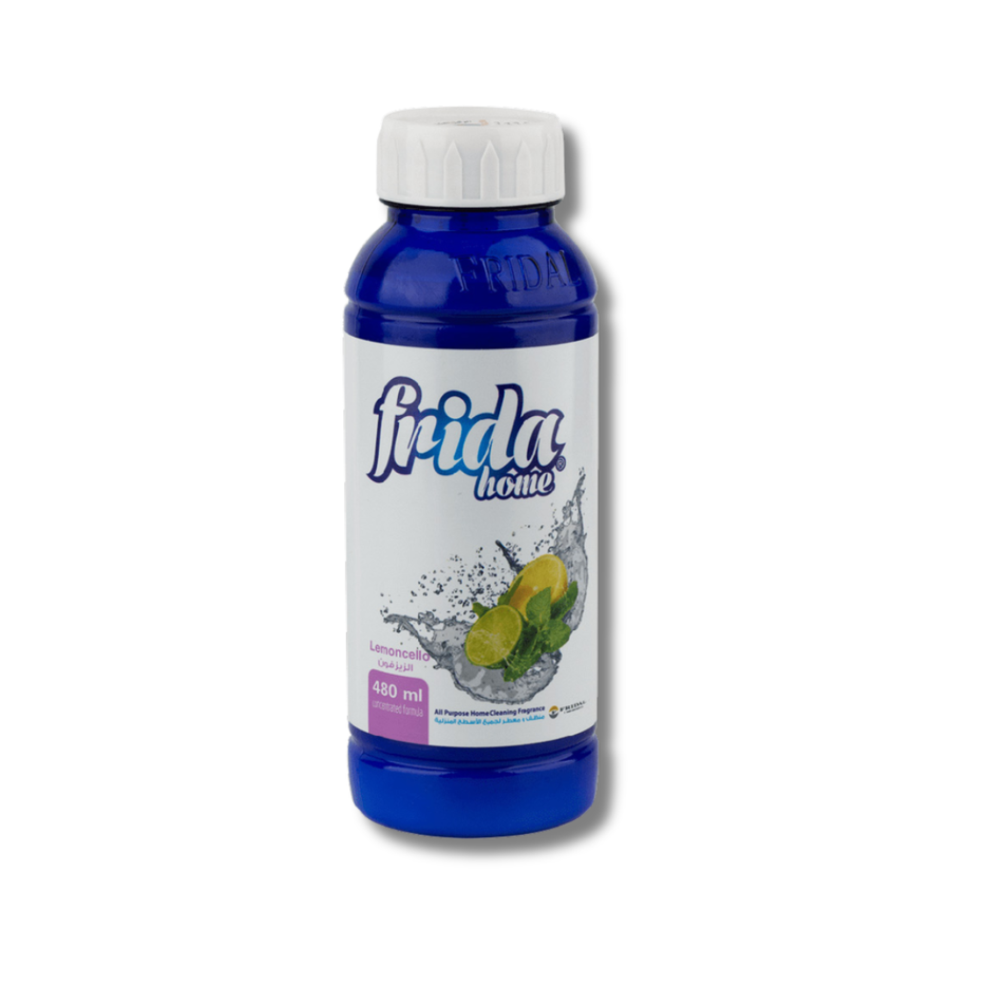 Frida All Purpose 480ml